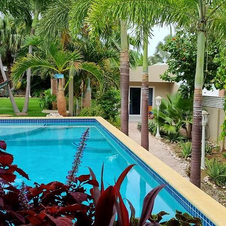 Hibiscus Beach House Jan Thiel Esterno foto